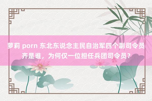 萝莉 porn 东北东说念主民自治军四个副司令员齐是谁，为何仅一位担任兵团司令员？