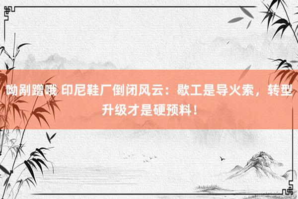 呦剐蹭哦 印尼鞋厂倒闭风云：歇工是导火索，转型升级才是硬预料！