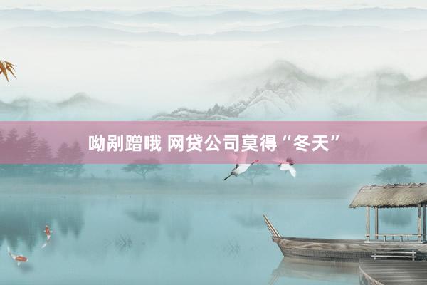 呦剐蹭哦 网贷公司莫得“冬天”