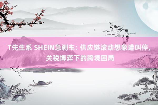 T先生系 SHEIN急刹车: 供应链滚动想象遭叫停， 关税博弈下的跨境困局