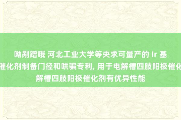 呦剐蹭哦 河北工业大学等央求可量产的 Ir 基负载型电解水催化剂制备门径和哄骗专利， 用于电解槽四肢阳极催化剂有优异性能