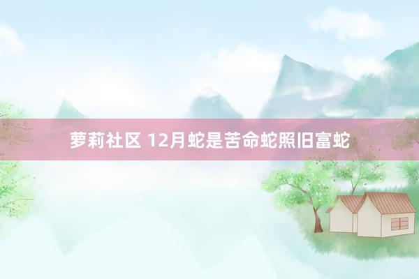 萝莉社区 12月蛇是苦命蛇照旧富蛇