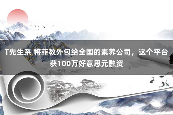 T先生系 将菲教外包给全国的素养公司，这个平台获100万好意思元融资